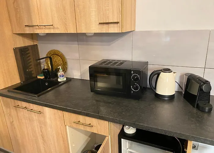 Apartament Czarne Zloto