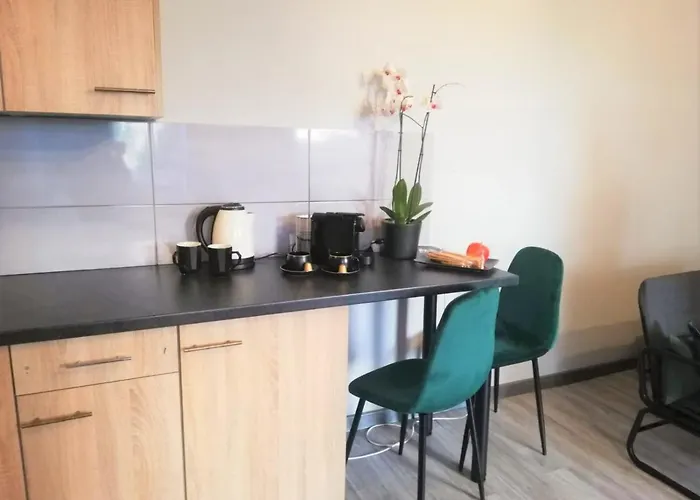 Apartament Czarne Zloto